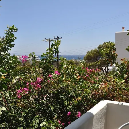 Vicky 2* 皮索·里瓦蒂