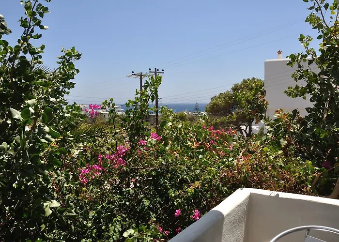 Vicky 2* Πίσω Λιβάδι